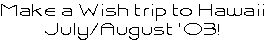 Make a Wish trip to Hawaii
July/August ‘03!